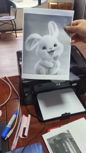 HP LaserJet Pro P1102w