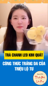 10 Set trà chanh dây kim quất nước uống hoa quả Triệu Lộ Tư trắng da detox sấy thăng hoa đông khô