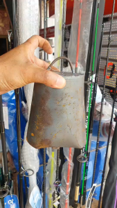 หมากกะโหล่ง กระดิ่ง กะโหล่งวัว กระดิ่ง - กะโหล่งวัว หมากกะโหล่ง กระดิ่ง