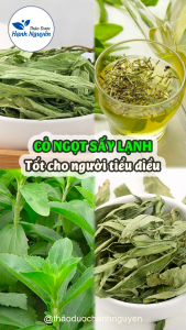 Cỏ ngọt sấy lạnh 500g (Trà cỏ ngọt hữu cơ nguyên lá làm đường ăn kiêng) - Thảo Dược Hạnh Nguyên