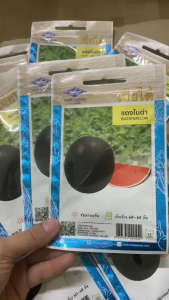 Hạt giống dưa hấu vỏ đen thái lan-gói 40 hạt