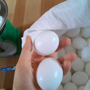 Combo 10 Trứng vịt nhựa có nước bên trong màu trắng to gần như trứng thật shop Lộc Phát CB10TRV-TR