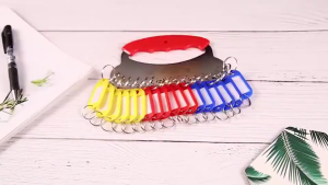 Name Tag Gantungan Kunci Warna-Warni Label Nama Plastik Keychan Ring Name tag Ganci Colors ptt