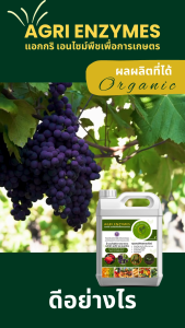 AGRI ENZYMES 500 ml แอกกริเอนไซม์พืชเพื่อการเกษตร เอนไซม์น้ำหมักชีวภาพ