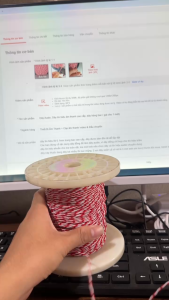 Dây Audio Dây tín hiệu âm thanh cao cấp dây tráng bạc từ shop Hà Nội Hifi