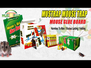 【READY STOCK MALAYSIA】Foldable Sticky Mouse Board Mouse Trap Mouse Killer Strong Sticky Professional Pest Control Board粘鼠板