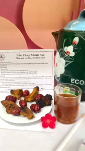 Nấm Tuyết Nấm Chaga Nga Hỗ Trợ Giảm Huyết Áp Giảm Mỡ Máu Giảm Cholesterol Tăng Cường Hệ Miễn Dịch Giải Độc Gan
