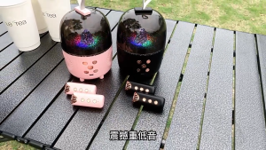 Speedefy Karaoke Machine with Dynamic Lights Bluetooth Speaker for Girls Boys 蓝牙音响带麦克风