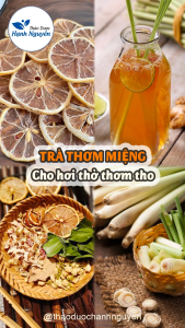 5-10 set Trà thơm miệng mix set (Chanh sả lá nếp cỏ ngọt bạc hà táo đỏ) - Thảo Dược Hạnh Nguyên