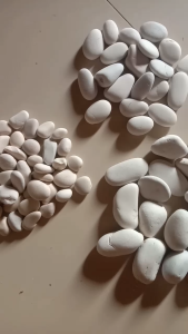 BATU KORAL PUTIH KUPANG 1 KARUNG  10 KG DEKORASI TAMAN DAN POT