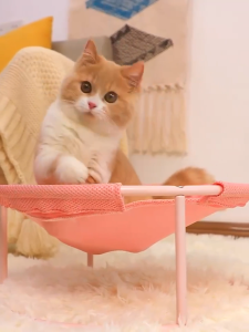 hooh pet🌈ที่นอนแมว เปลแมว ที่นอนสัตว์เลี้ยง เบาะนอนแมว หมา แข็งแรง รับน้ำหนักได้เยอะ