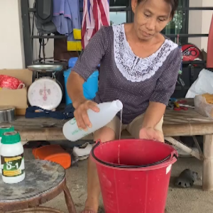 D1 ดีวัน ปุ๋ย อาหารเสริมพืช ส่งฟรี เร่งราก เร่งใบ รากเยอะ ใบกระจายดี พืชโตไว แข็งแรง ทนโรค เร่งดอก ราก ใบ พืชสวนครัวงดงาม