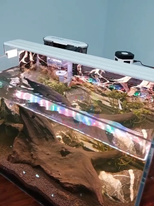 Đèn LED hồ cá chống nước đèn thủy sinh đèn CHÍNH HÃNG gác thành bể 3 chế độ màu cho bể cá cảnh cây thủy sinh tép cảnh