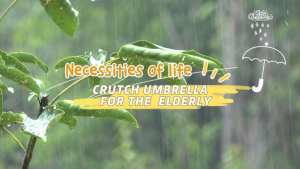 Elderly Crutch Umbrella 2 in 1 Windproof Walking Stick Long Umbrella
