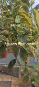 Anti Bird Net Protect Tree Net Jaring Anti Burung Jaring Burung 防鸟网 SHS Garden