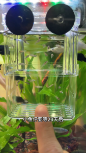 ส่งเร็ว ตู้ปลา ตู้ปลาปลากัด กล่องแยกปลา ตู้ปลาขนาดเล็ก กล่องฟักปลา ผสมพันธุ์ปลา​ เหมาะสำหรับเลี้ยงปลากัด