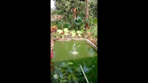 Paket Lengkap Mesin Air Mancur Kolam Mini Pompa Air Mancur Kolam Ikan