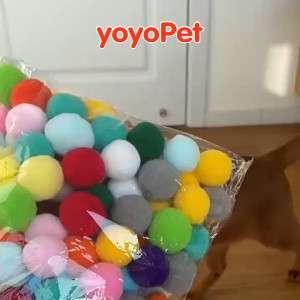 petme 💎 ปืนยิงแมว ปืนยิงลูกปอมๆ ของเล่นแมว ลูกบอลไหมพรมแมว ทนทานยืดหยุ่นสูง ปืน +20 ลูก