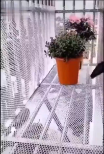Plastic Safety Pets Net Safety Anti-falling Mesh Cat Netting Balcony Railing Window Baby Plastic Safety Net