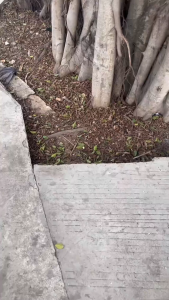 4000MAH Turbo Jet Fan Electric Compressed Air Duster 3 Gear Adjustable Jet Dry Blower Car Computer Cleaning Blower Tool