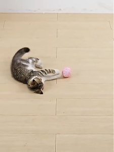 (คละสี) ของเล่นแมว บอลเชือก (4cm) แมวกระดิ่งบอล ลูกบอล ลูกบอลเชือก สำหรับแมว สำหรับสัตว์เลี้ยง