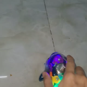 [Độc Đáo] Xe cá heo đồ chơi trong suốt phát sáng chạy trớn giá rẻ cho bé