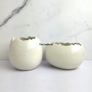 The Leaferie Maja Egg plant pots. Ceramic flowerpot . flowerpots . flower pot . planter . planters . Plants