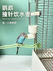 ที่ให้น้ำอัตโนมัติ ขวดน้ำนก หลอดให้น้ำ ขวดใส่น้ำนกแก้ว แบบติดกรง หัวทองเหลือง ป้องกันน้ำหก ขนาด 80ml 150ml