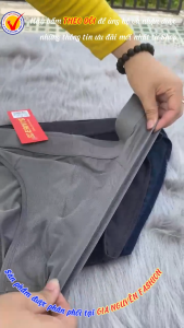 Combo 5 quần lót nam Erivis thun lạnh lưới thông hơi hàng Việt Nam chất lượng cao