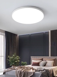 Ultra-thin 2cm LED Ceiling Light White Light/Tricolor Waterproof Outdoor Light For bathroom Corridor LED Ceiling Indoor Lighting