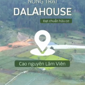 Bột rau má đậu xanh cốt dừa Dalahouse kết hợp với đường hoa dừa thơm ngon dễ uống - Hộp 10 gói