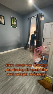 Pet odor remover spray Penghilang bau pesing pipis kotoran kucing kitten anjing penetral bau kandang pasir kucing 60ml