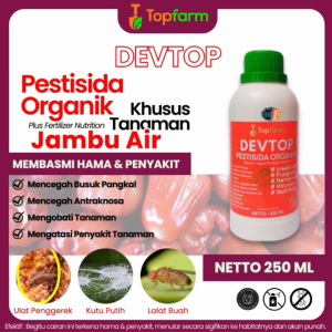 Obat Hama Tanaman Jambu Air / Obat Untuk Hama Buah Jambu Air / Obat Hama Daun Jambu Air / Obat Hama Tanaman Pohon Jambu / Obat Hama Jambu Air / Obat Ulat Daun Jambu Air / Obat Pembasmi Ulat Pohon Jambu