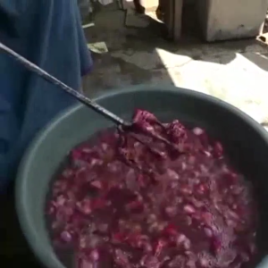 alat pengupas kulit bawang merahputih dari besi beton 8 SNI panjang 60cm