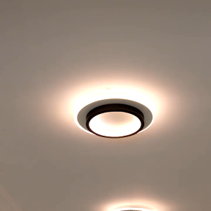LED Ceiling Light Tri-color Dimmable Acrylic Ceiling Lamp Flush Mount Nordic Minimalist Modern Lights Led Design for living room Bedroom