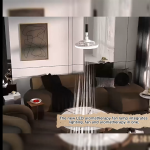 Ceiling Fan with Lamp 30W 3-speed Can place aromatherapy fan adjustable strong wind LED fan with light with remote control