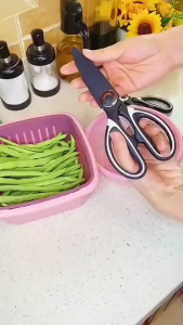 Gunting Jumbo Dapur Stainless Steel Serbaguna Untuk Ikan Ayam & Daging