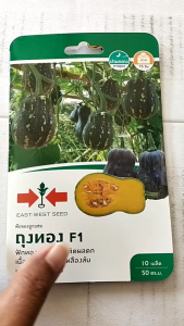 ศรแดง ฟักทอง ถุงทอง บัตเตอร์นัท บัทเตอร์นัท หมดอายุ 02/07/2570 จำนวน 10 เมล็ด/ซอง เมล็ดพันธุ์ ลอตใหม่ ทรงน้ำเต้า เนื้อสีเหลืองส้ม npkplant