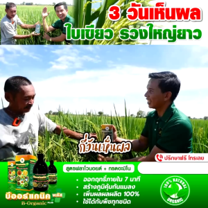 บีออร์แกนิคพลัส สารเสริมพืช 100 ซีซี ฉีดได้ 10 ไร่ (เซ็ท1 ชุดทดลอง)
