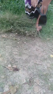 Cangkul Garukan Sampah Kotoran 2in1 Daun Kering Ukuran mini