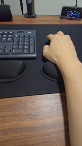 (SG) LionShield Memory Foam Wrist/Palm Support Pad Rest for Keyboard/Mouse (Ergonomic)