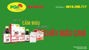 Combo 2 hộp PQA Chỉ huyết ngăn ngừa chảy máu cam