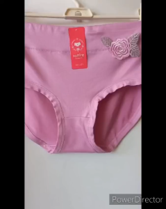 Celana Dalam Wanita Sattire JJ31 Motif Sulam Mawar & Size XXL