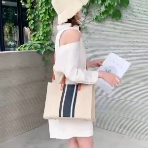 Harvey Korean Women's Handbags: Briefcase Commute Shoulder Bag