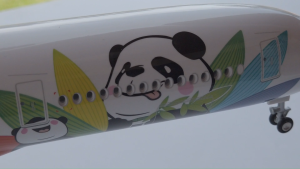 โมเดลเครื่องบินแอร์บัส A350-800 ลายแพนด้าของสายการบิน Sichuan Airlines ขนาด 47 ซม. คุณภาพสูง พร้อมไฟ LED สำหรับห้องโดยสารและห้องนักบินบนแท่นโชว์