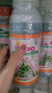 SIÊU BO [QUẢ CẦU LỬA] cung cấp Boron mập bông mập trái chống rụng bông và trái