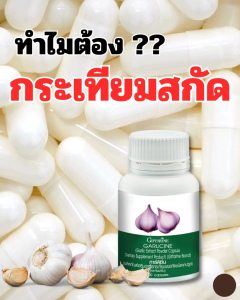 กระเทียมสกัดแคปซูล Dietary supplement Garlic Extract Capsule (Giffarine Brand) กระเทียมสกัด Gifarine  Garlicine สารสกัดจากกระเทียม