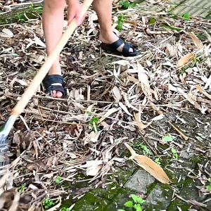 Thickened stainless steel grass rake with long handle for sweeping leaves gardening tool for holding grass rake