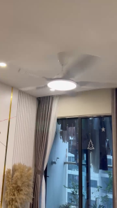Quạt trần phòng khách DCT810 Động cơ DC 6 tốc độ gió sải cánh rộng 132cm Bảo hành động cơ 5 năm