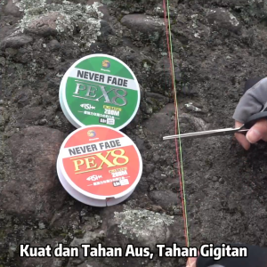 Bingolife x8 PE 200m Jepang Never Fade 8 Strands Jalinan Fishing Line Senar Pancing Kuat Dan Anti Keriting